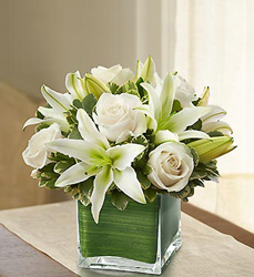 White Rose and Lily Cube Davenport Florist - Same Day Flower Delivery - Flower Power 